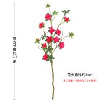 uploads/erp/collection/images/Home Garden/CongDing/XU0610778/img_b/XU0610778_img_b_3